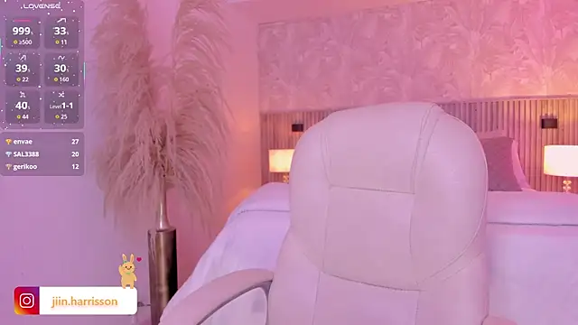 Jin-harrison webcam