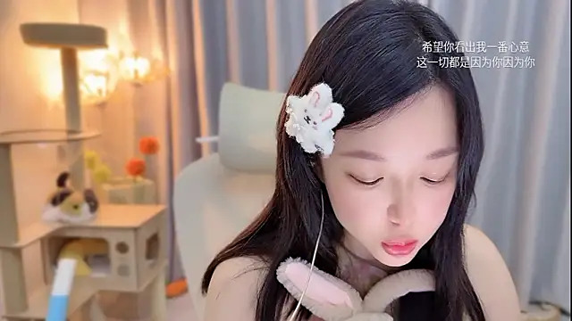 facai-feifei webcam