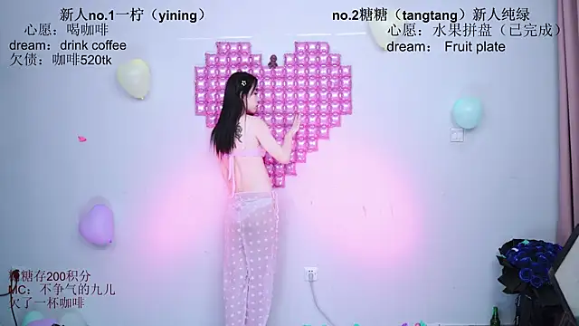 CCTW-100 webcam