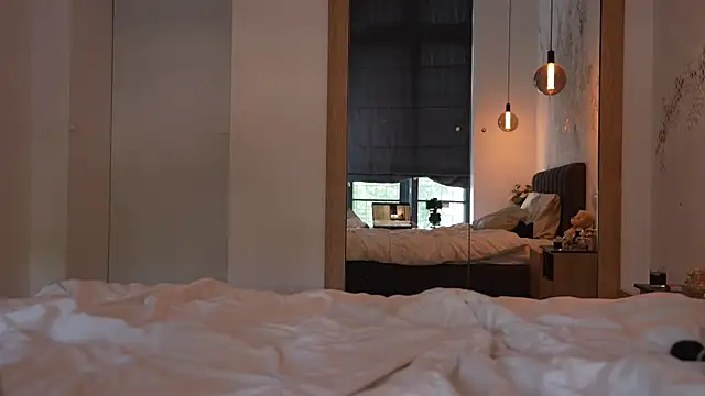 ibiddi webcam