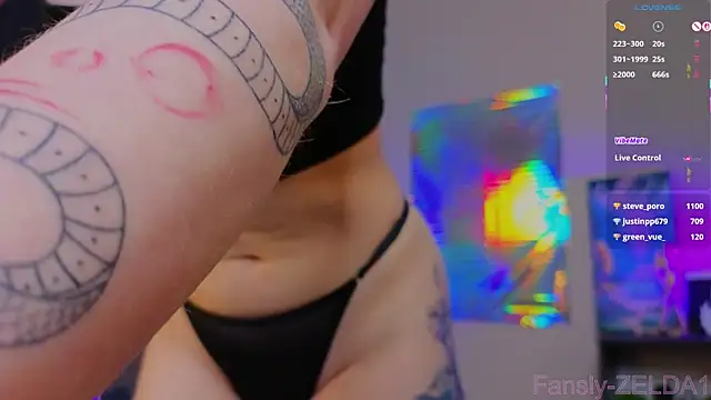 zelda_1 webcam