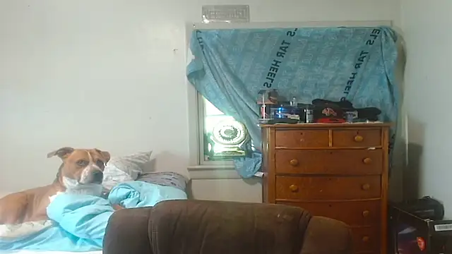 DADDY_KANE8--- webcam