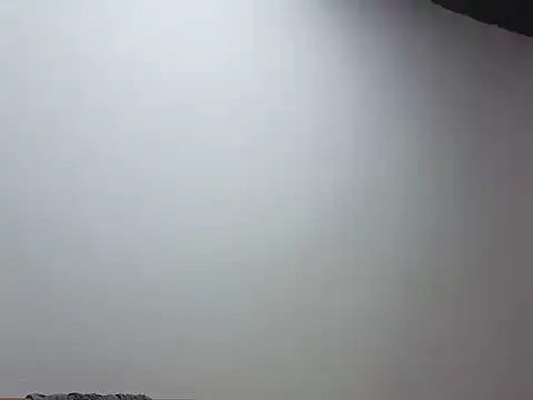 jackbigcock11 webcam