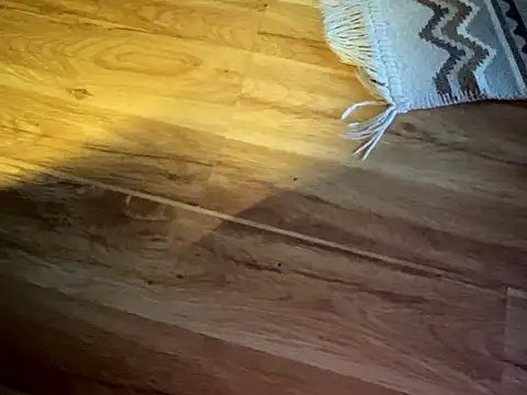 pornStasy webcam