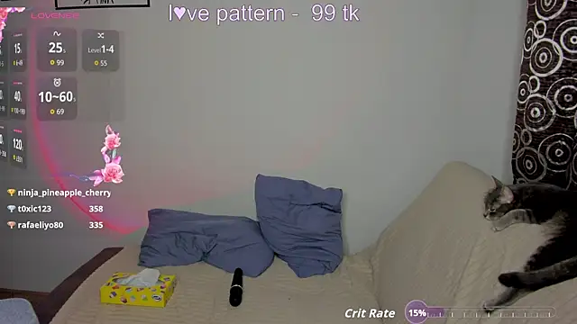 Say_vio webcam