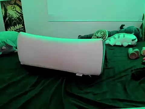 Tinawildd webcam