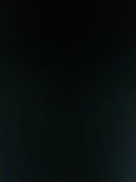 EzE369mgm live cam on StripChat