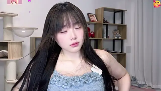 SakuraCat6 webcam
