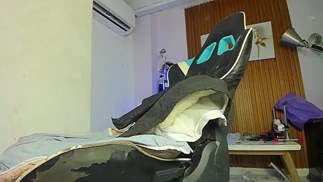 galactica_ webcam