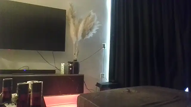 Steefje2001 webcam