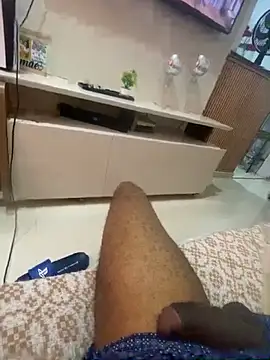 hudson19cm webcam