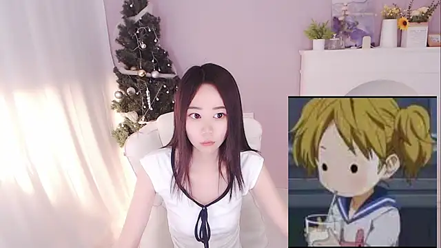hall-33 webcam
