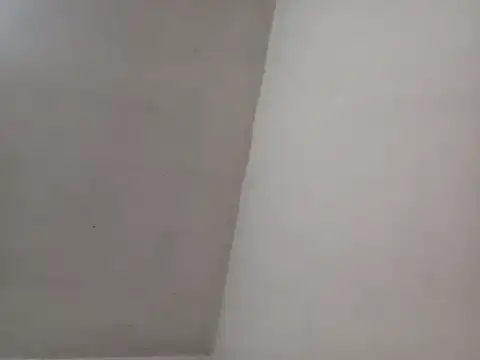 wbrankinha webcam