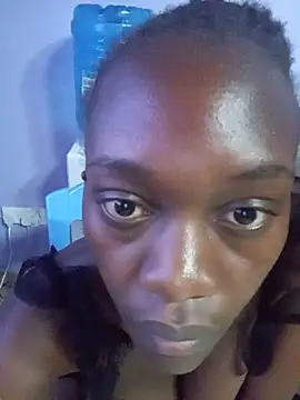 Paulahaze webcam