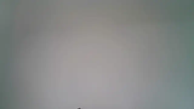 Kaappi1967 webcam