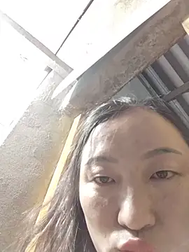 zhen-zo webcam