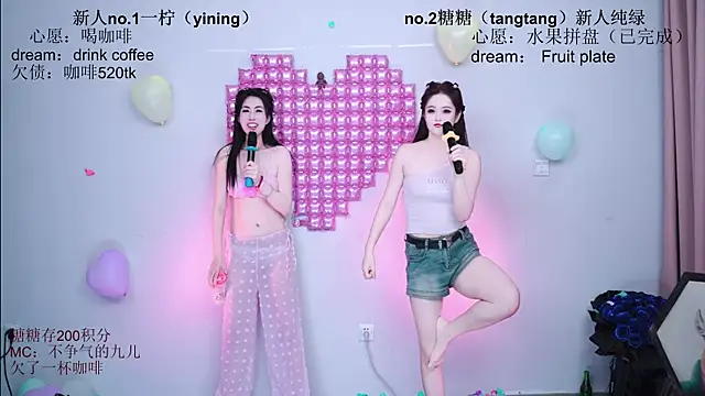 CCTW-100 webcam