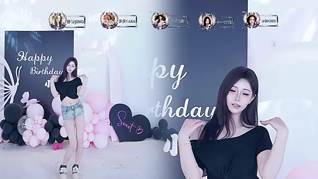 TY-002 webcam