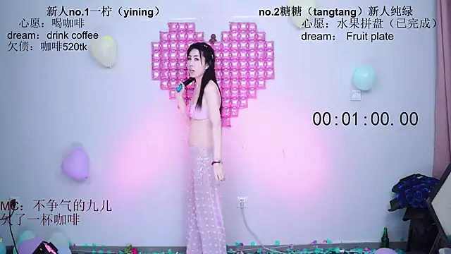 CCTW-100 webcam