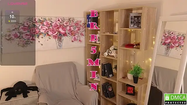 Sue_Sanders webcam