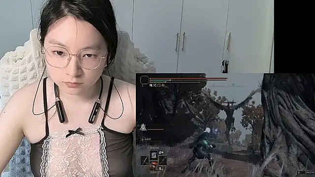 Erya-369 webcam