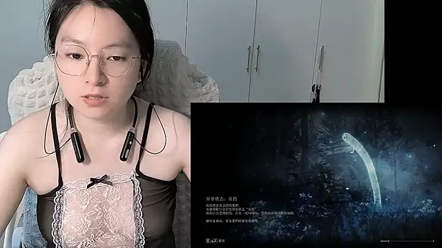 Erya-369 webcam