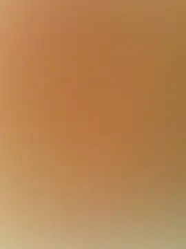 DarkfleX webcam