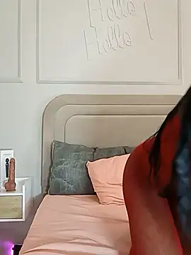 Liastarkk webcam