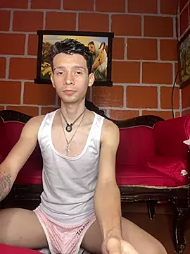 VicenteFerrer webcam