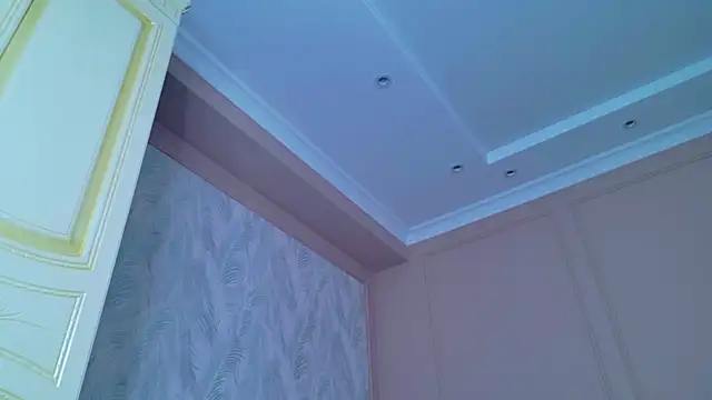 Evelyn_rabbit webcam