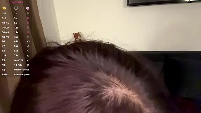 Ur_neighbor_Kira webcam
