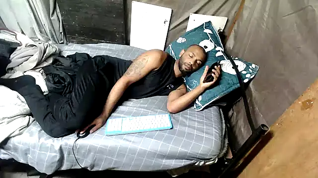 Camodick webcam