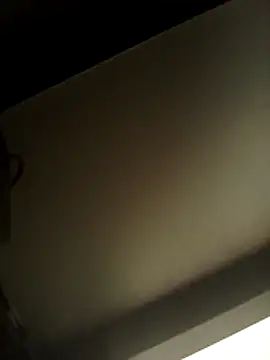 TheTwist webcam