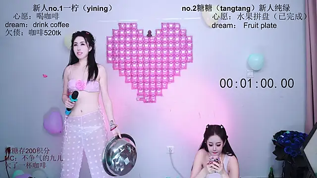 CCTW-100 webcam