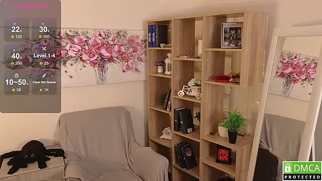 Sue_Sanders webcam