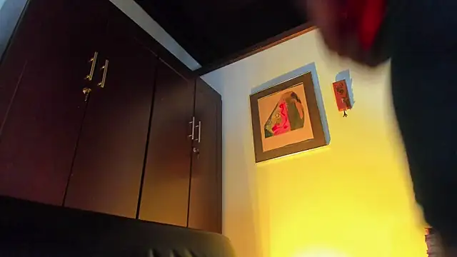 CamiloGray_ webcam