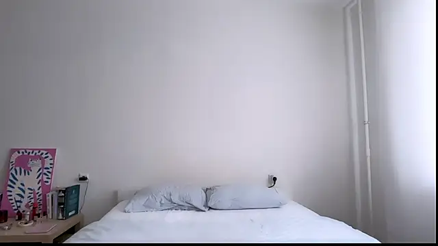 Milky___Way webcam