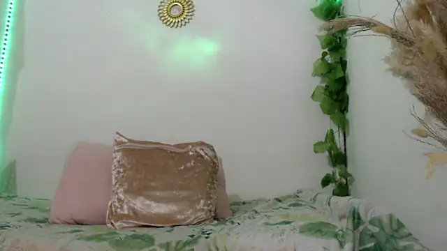 Donniia webcam