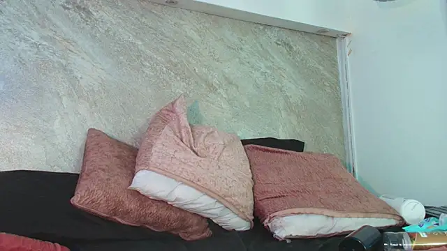 Dixie_grey1 webcam