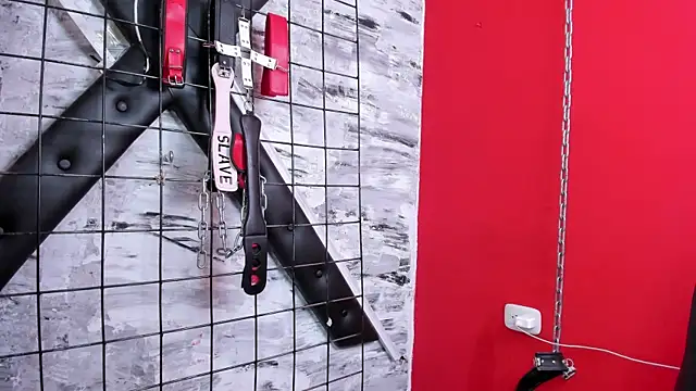 Venus_Bms_ webcam