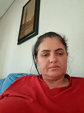 Sony28v webcam
