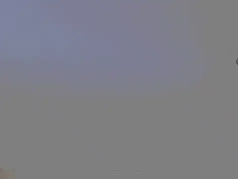 studlyhardwoodd webcam