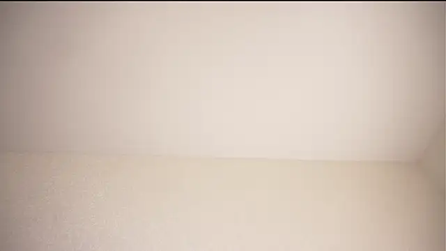 WendiPrier webcam