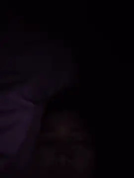 LL-001 webcam