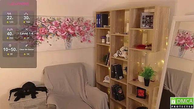 Sue_Sanders webcam