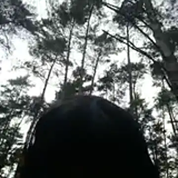 Steffi7tv webcam