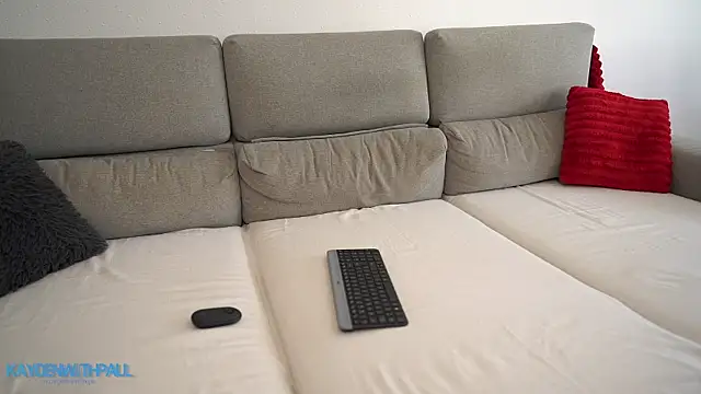 kaydenwithpaul webcam