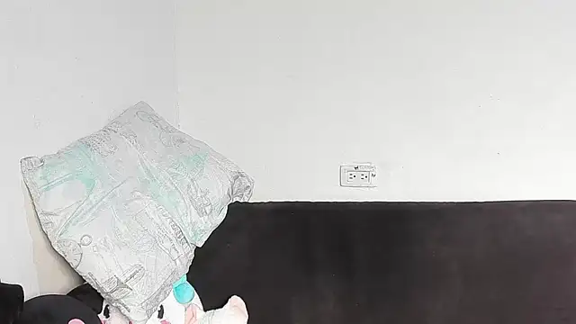 Eirlysx webcam