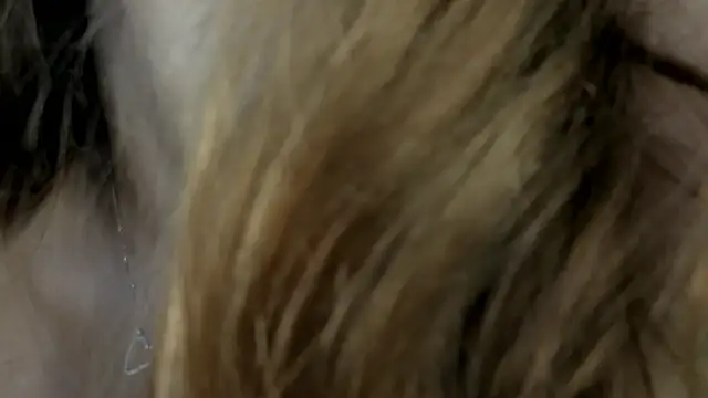 dolly_ll