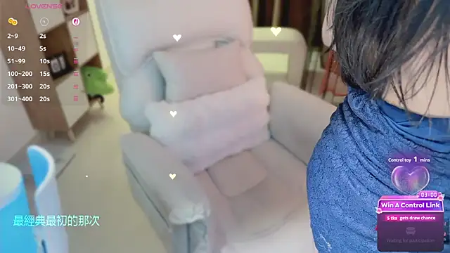 Vaidurya-Yolo webcam